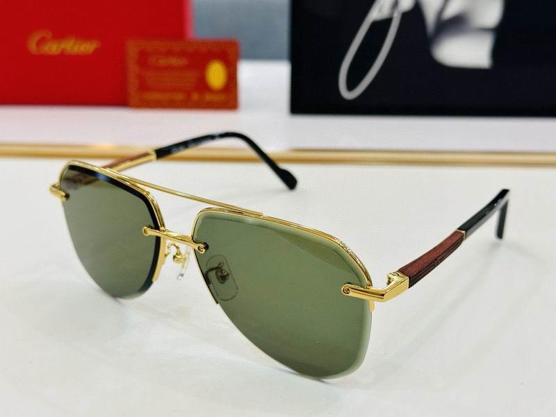 Cartier Sunglasses 693